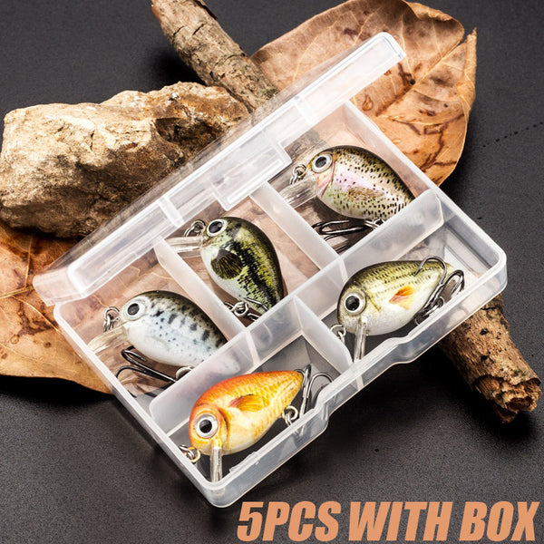 5pcs Mini Fishing Lure Set, 3D Printing Crank Bait Artificial Bait With Fishing Box