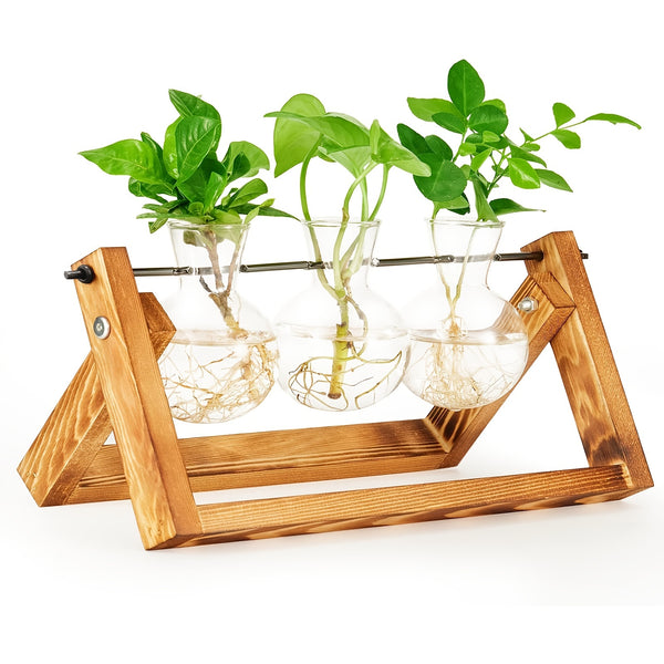 Propagation Stations, 3pcs Air Plant Terrarium Bulb Vase With 1pc Wooden Stand, Plant Propagation Station For Indoor Hydroponics Plants For Home Office Garden, Gift For Planter Lovers