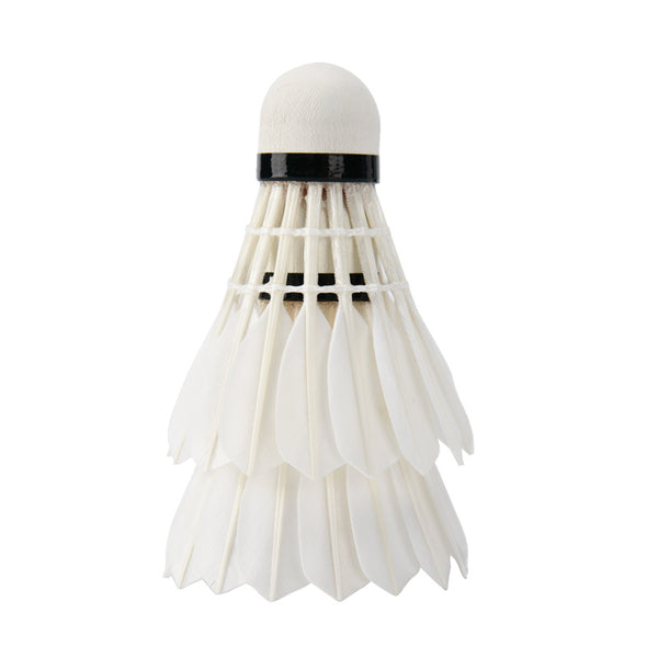 12pcs Badminton Promotional Set