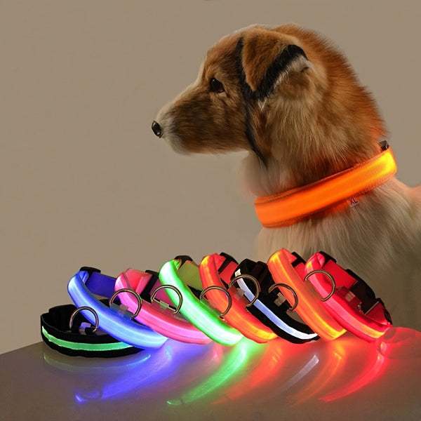 Glow-In-The-Dark Pet Collar For Dog & Cat, LED Dog Collar For Night Walking